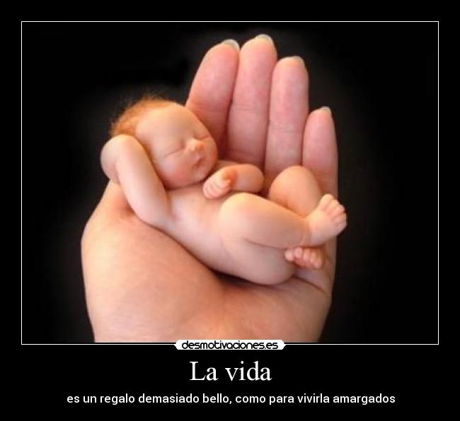 La vida - es un regalo demasiado bello, como para vivirla amargados