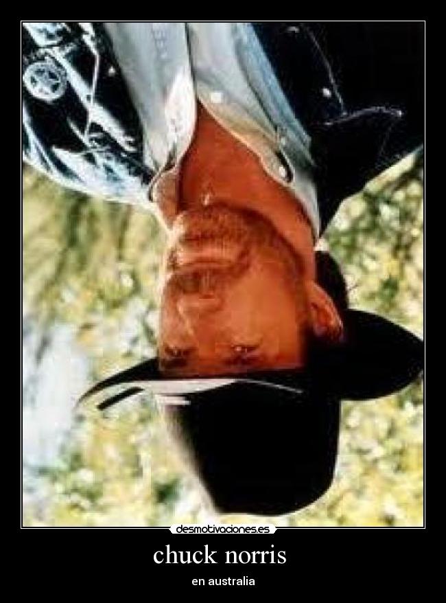 chuck norris -