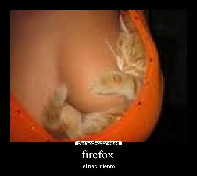 firefox - el nacimiento