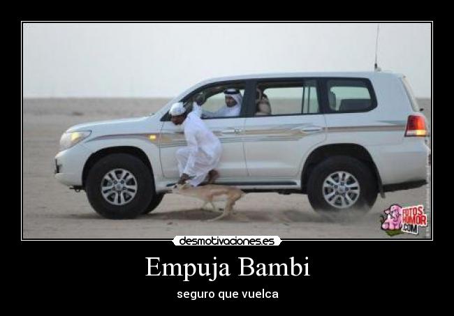 Empuja Bambi - seguro que vuelca