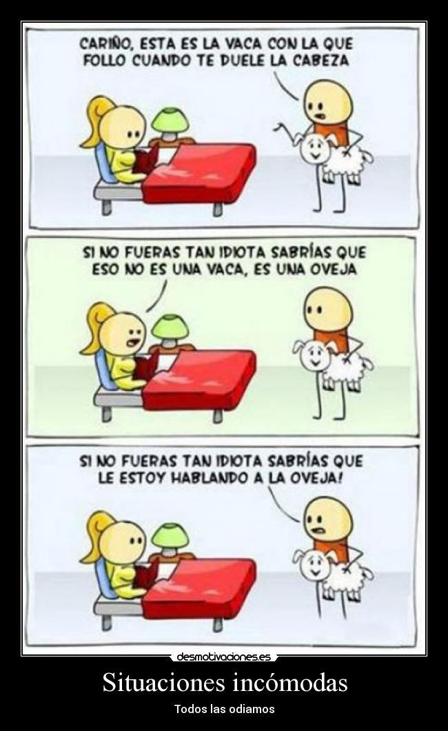 carteles situaciones incomodas vaca oveja jaja cama amor desmotivaciones