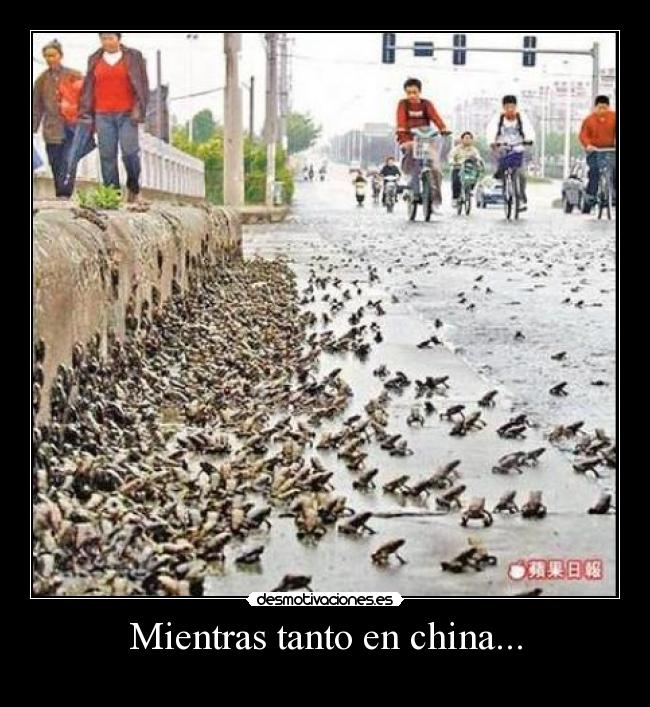 carteles china desmotivaciones