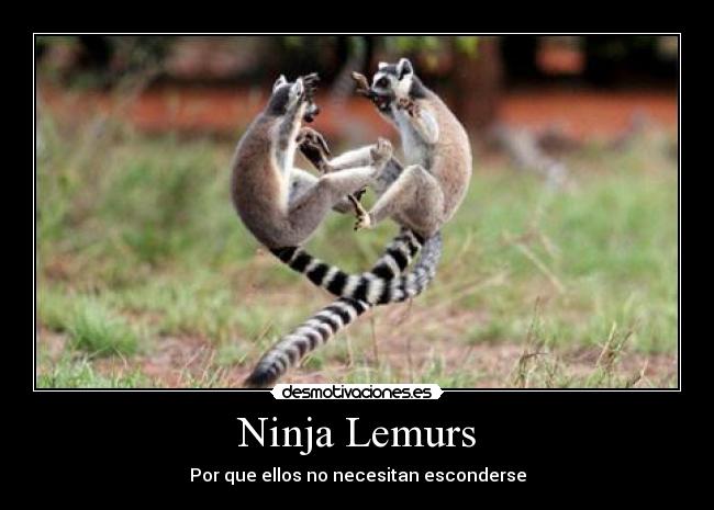 carteles ninja desmotivaciones