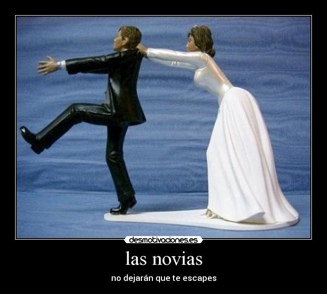 carteles novias desmotivaciones