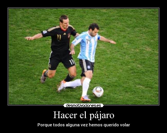 Hacer el pájaro - Porque todos alguna vez hemos querido volar