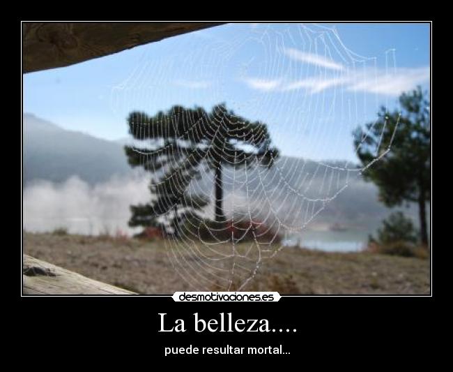 La belleza.... - puede resultar mortal...
