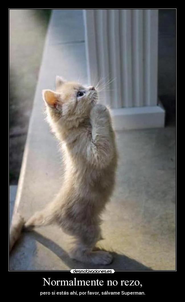 Normalmente no rezo, - 