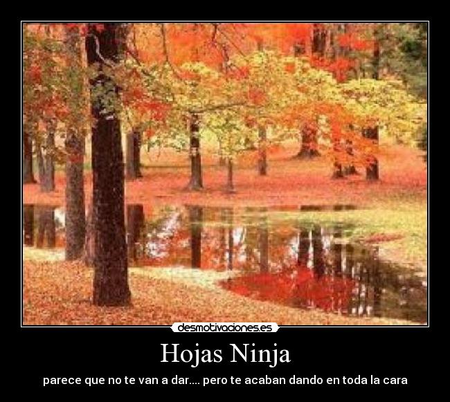Hojas Ninja -