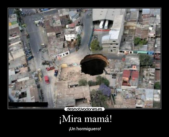 ¡Mira mamá! - ¡Un hormiguero!