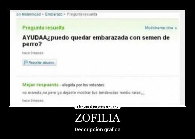 ZOFILIA - Descripción gràfica