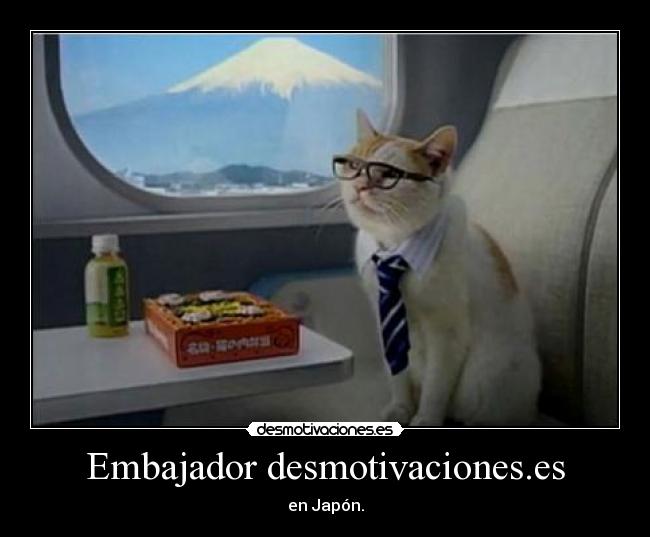 Embajador desmotivaciones.es - 
