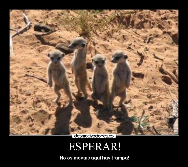 ESPERAR! - 