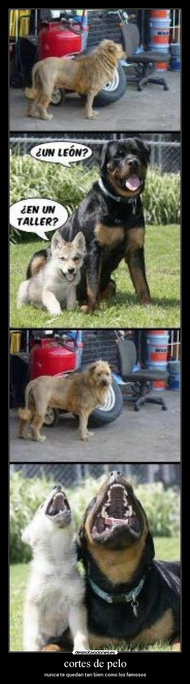 cortes de pelo - nunca te quedan tan bien como los famosos