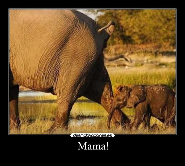 Mama! - 