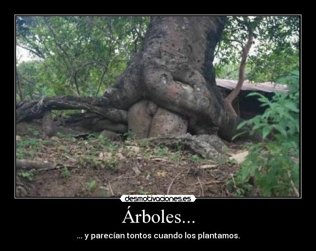 carteles fucking tree desmotivaciones