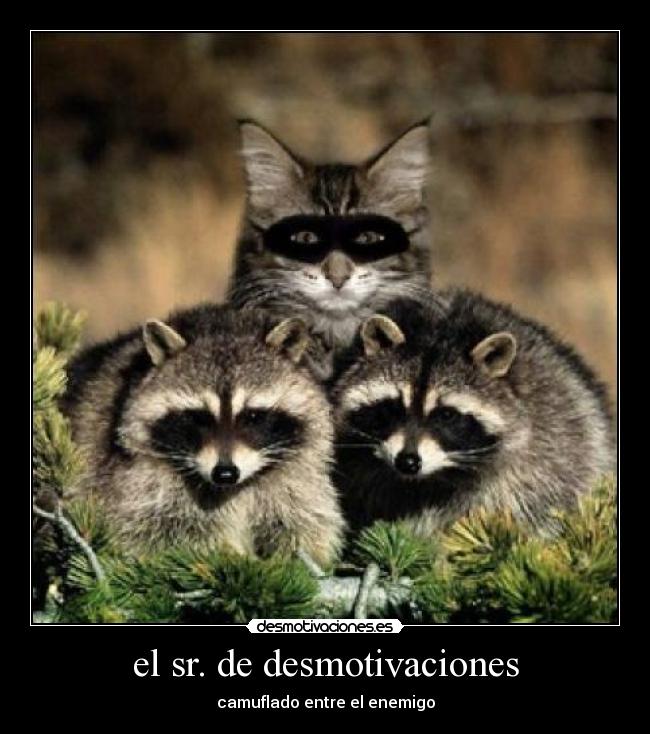 el sr. de desmotivaciones - camuflado entre el enemigo