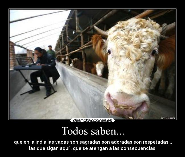 carteles zas alekay desmotivaciones