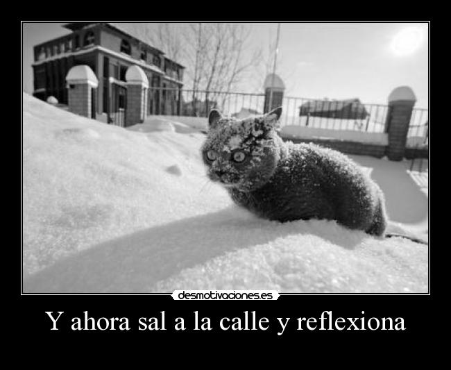 Y ahora sal a la calle y reflexiona - 