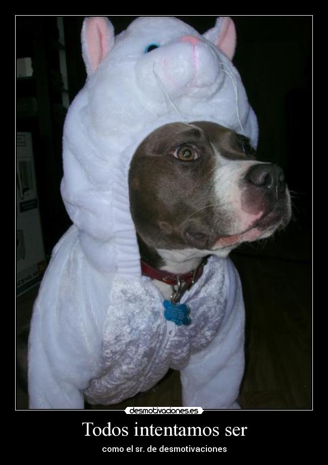 Todos intentamos ser - como el sr. de desmotivaciones