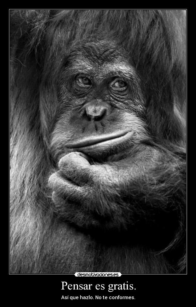 Pensar es gratis. - Así que hazlo. No te conformes.