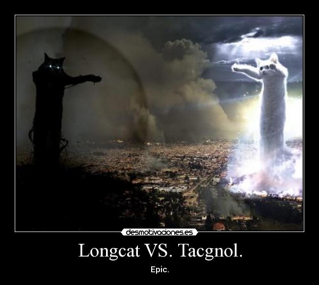 Longcat VS. Tacgnol. -