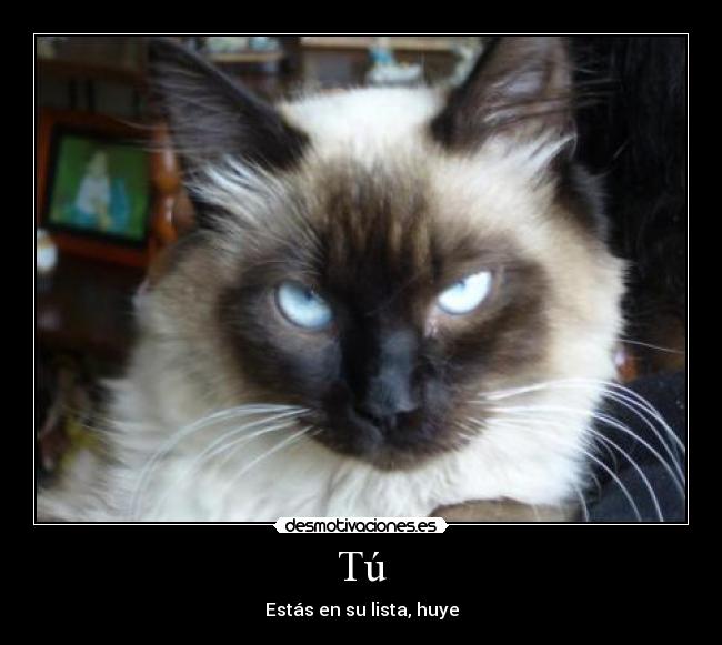 Tú - Estás en su lista, huye