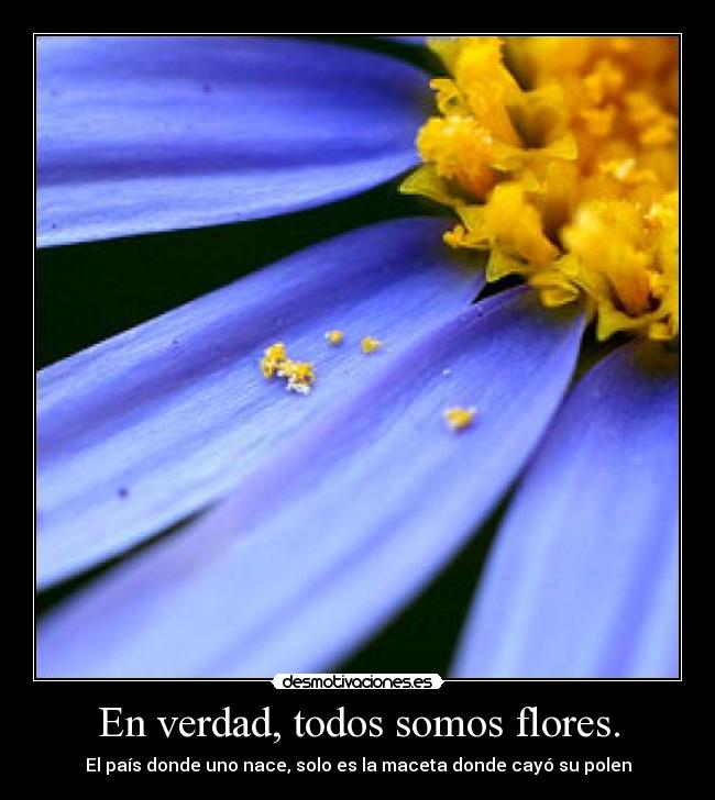 En verdad, todos somos flores. - El país donde uno nace, solo es la maceta donde cayó su polen