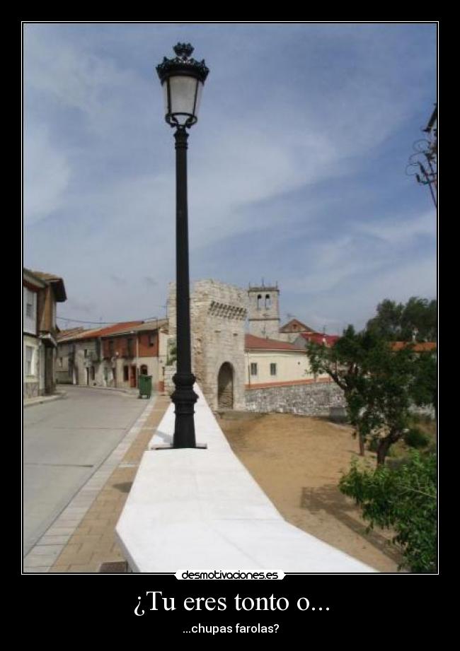 ¿Tu eres tonto o... -