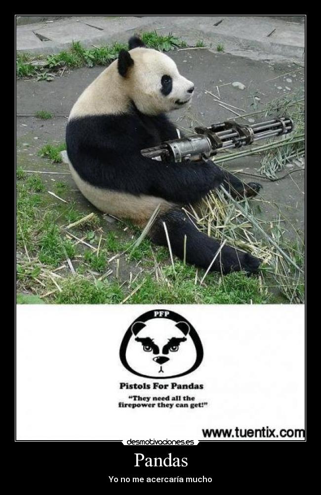 carteles pandas desmotivaciones