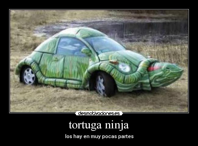 tortuga ninja - los hay en muy pocas partes