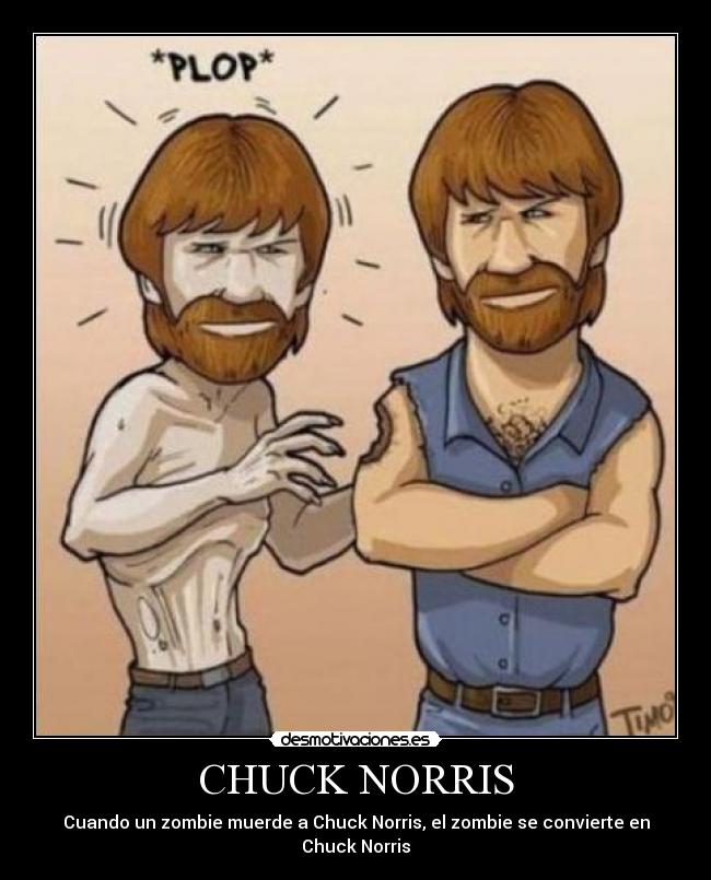 CHUCK NORRIS - 