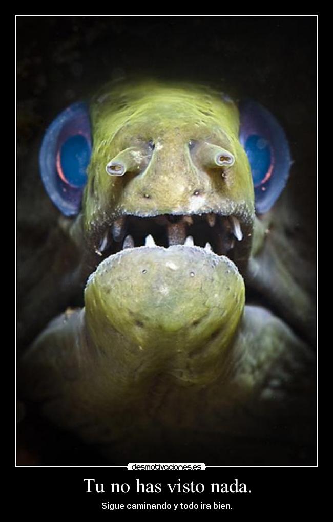 Tu no has visto nada. -