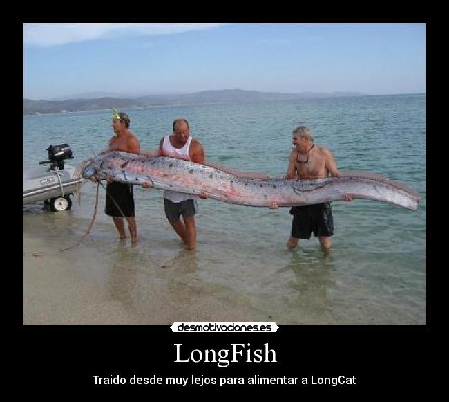 LongFish - 