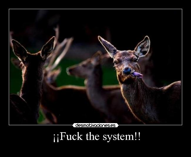 carteles fuck the system zorra implakable desmotivaciones