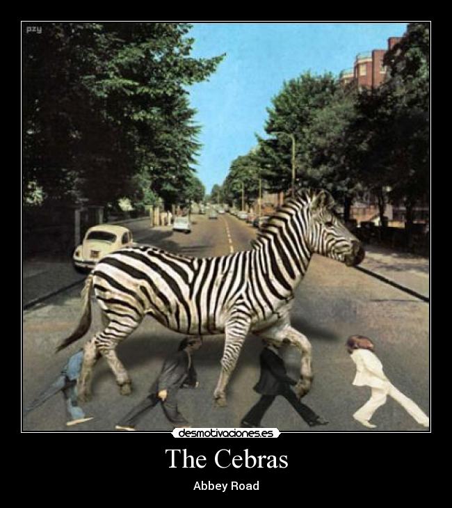 The Cebras - Abbey Road