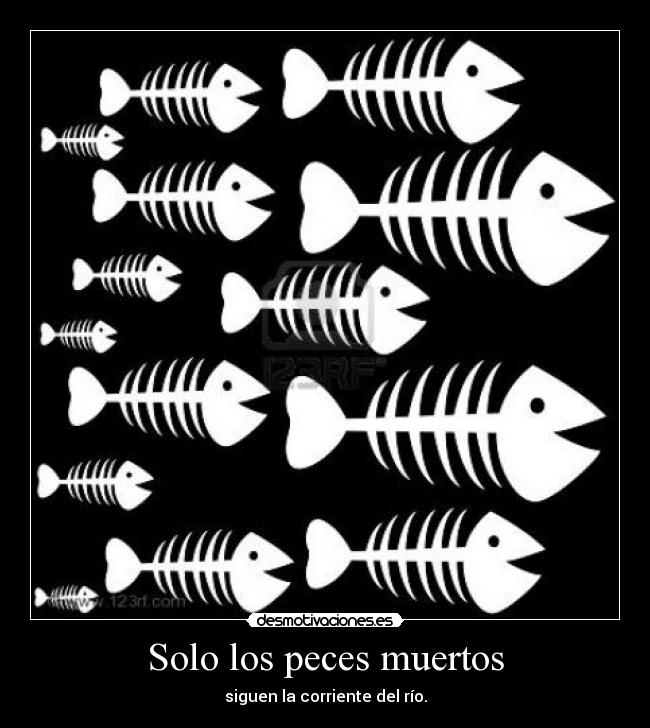 Solo los peces muertos - siguen la corriente del río.