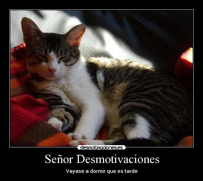 Señor Desmotivaciones - Vayase a dormir que es tarde