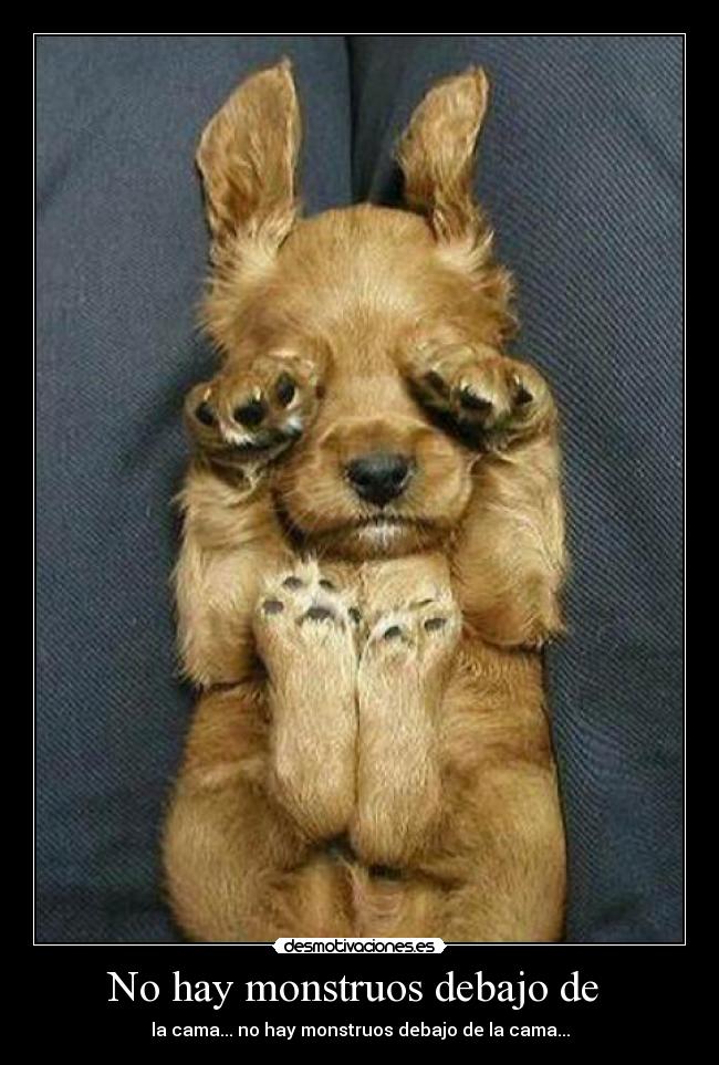 No hay monstruos debajo de  - 