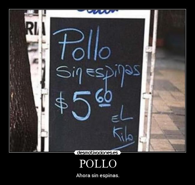 POLLO -