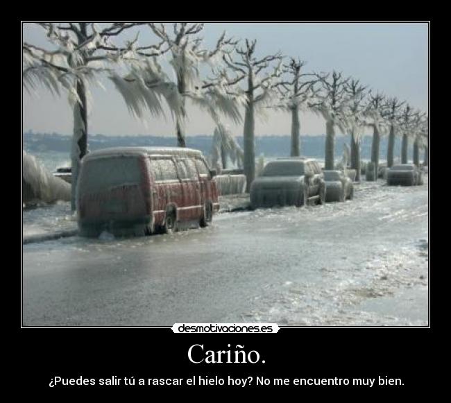 Cariño. -