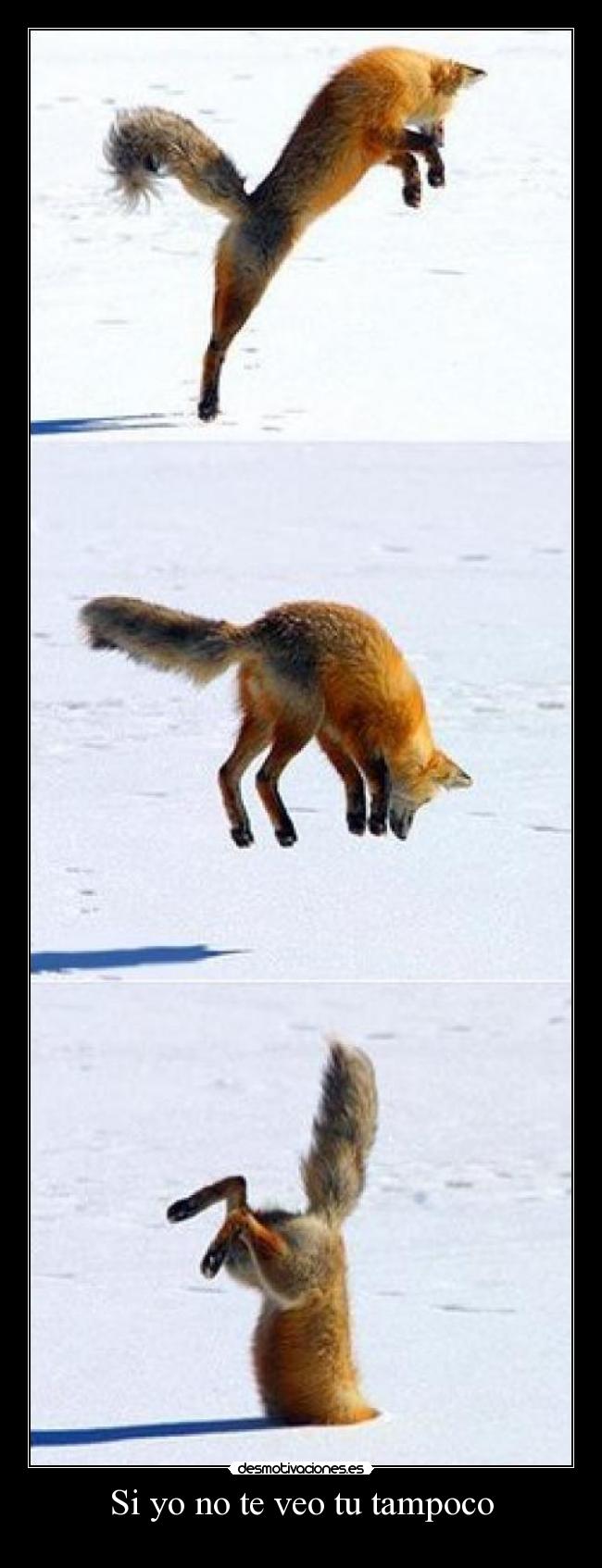 Si yo no te veo tu tampoco - 