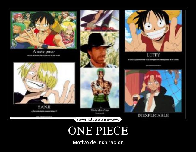 ONE PIECE - 