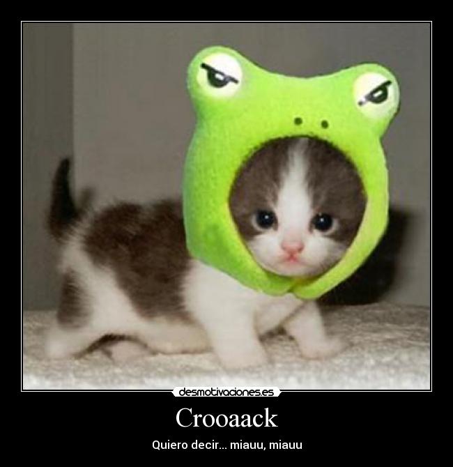 Crooaack - Quiero decir... miauu, miauu
