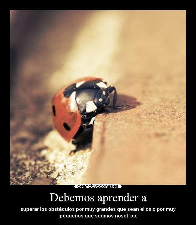 Debemos aprender a -