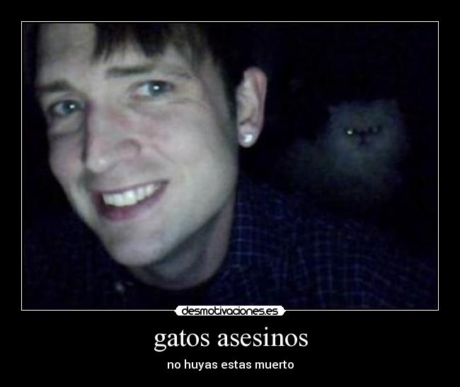 gatos asesinos - no huyas estas muerto