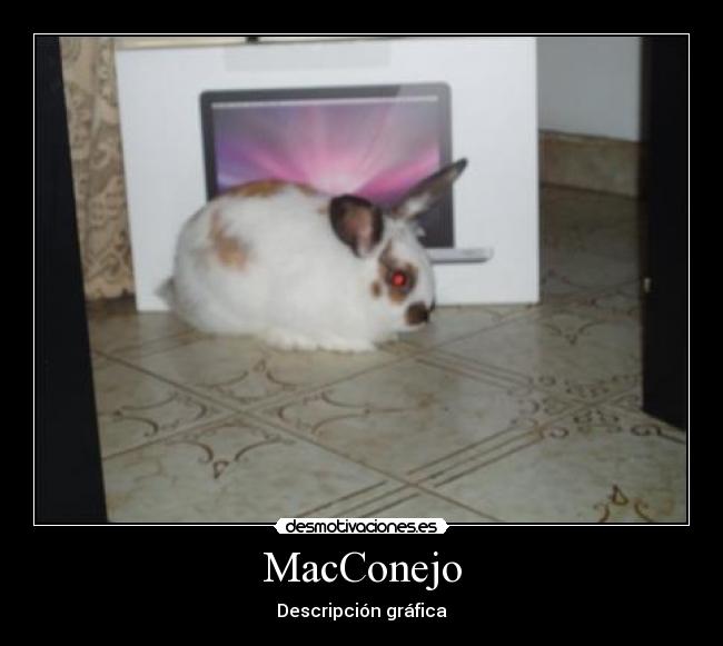 MacConejo -