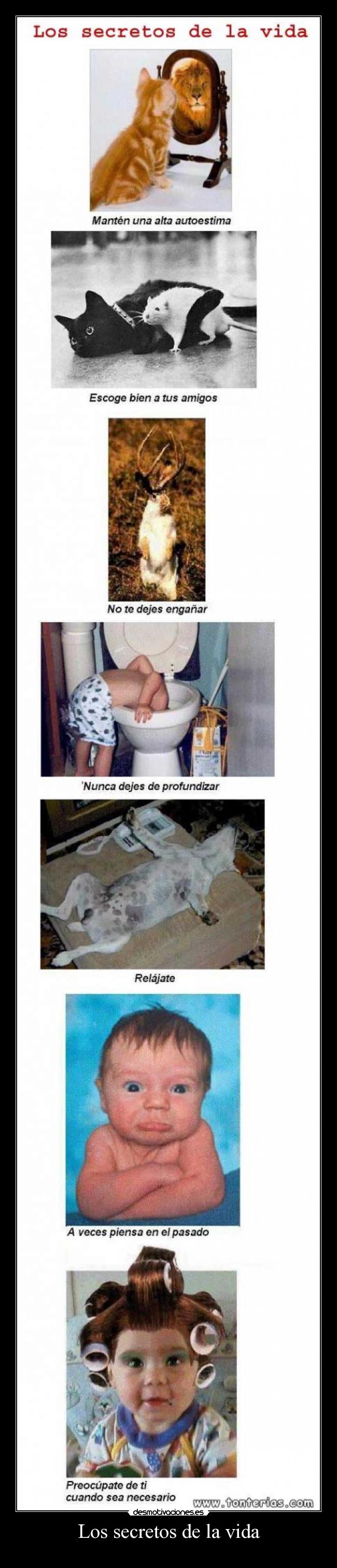 Los secretos de la vida - 