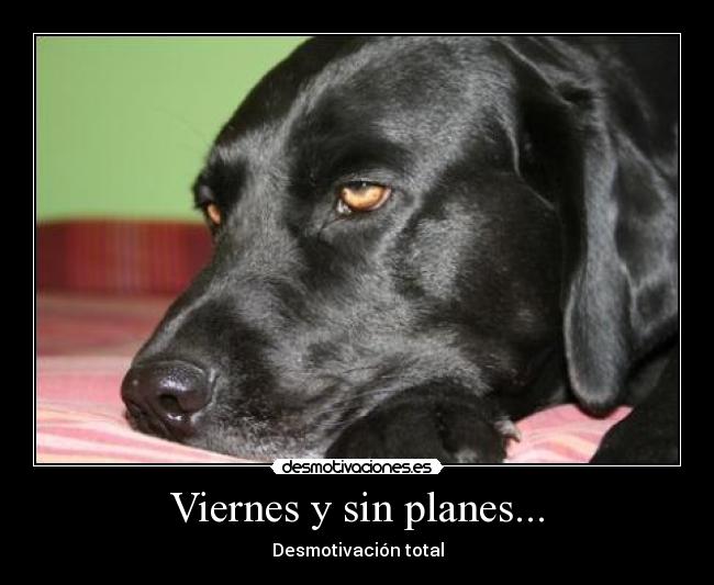 Viernes y sin planes... - 