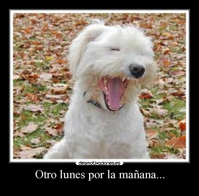 Otro lunes por la mañana... -