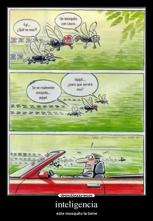inteligencia - este mosquito la tiene